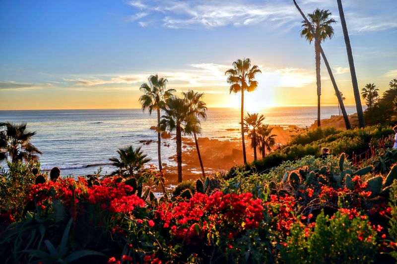 Laguna Beach 