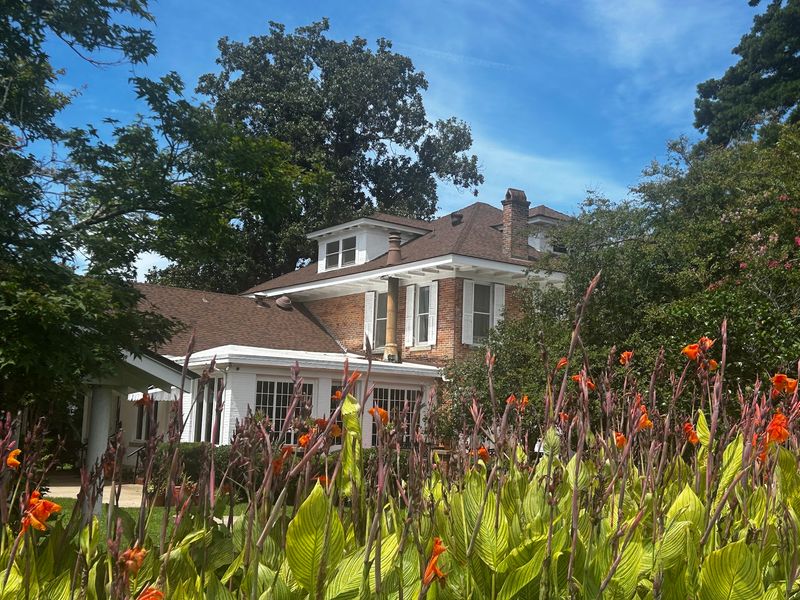 Consider A Local Guided Tour