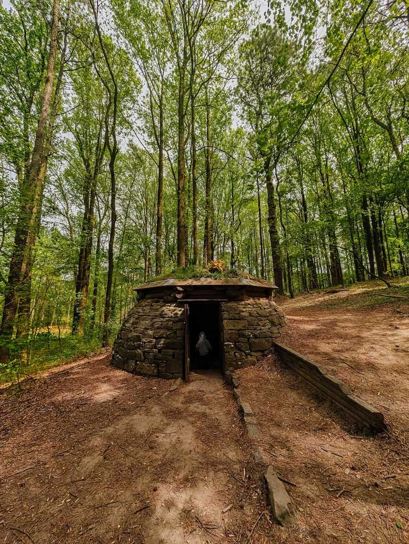 Cloud Chamber For The Trees And Sky