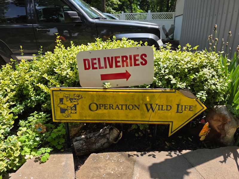 Operating Hours And How To Plan Your Visit