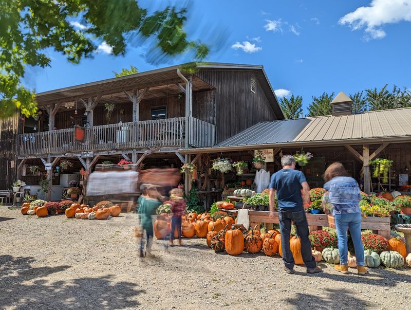 Appleberry Farm, Marshalltown