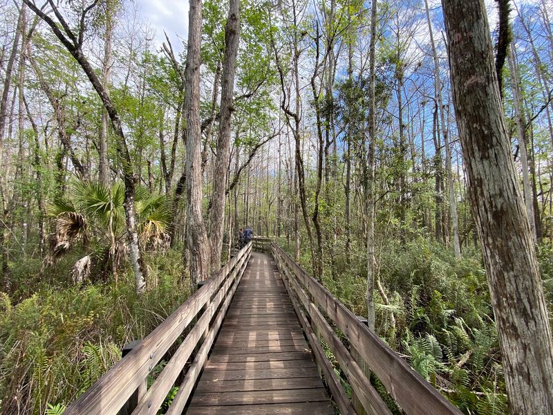 Six Mile Cypress Slough Preserve