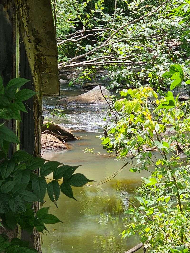 The Creekside Setting Completes The Detour