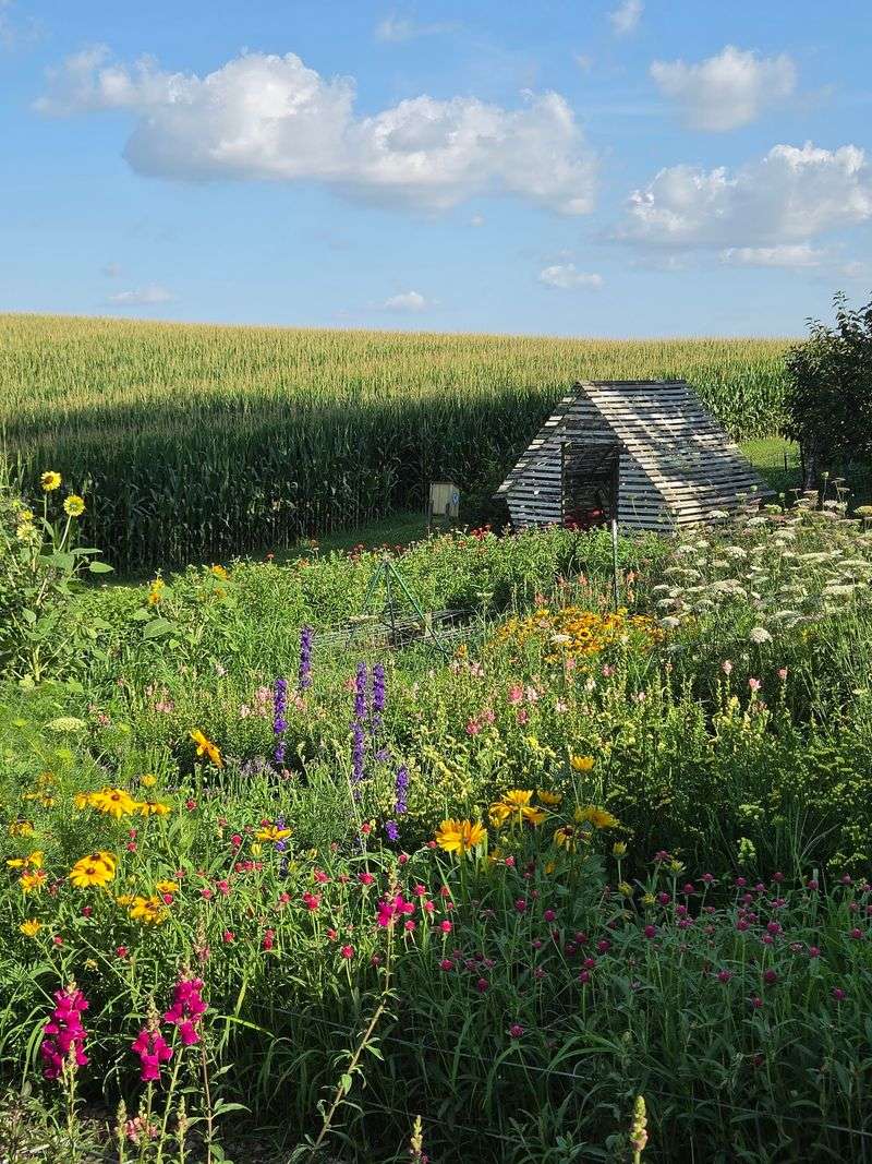 Miss Effie's Country Flowers and Garden Stuff, Donahue
