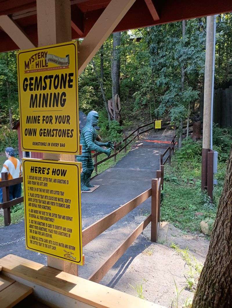 Gemstone Mining And Fossil Digging Add Something You Can Take Home