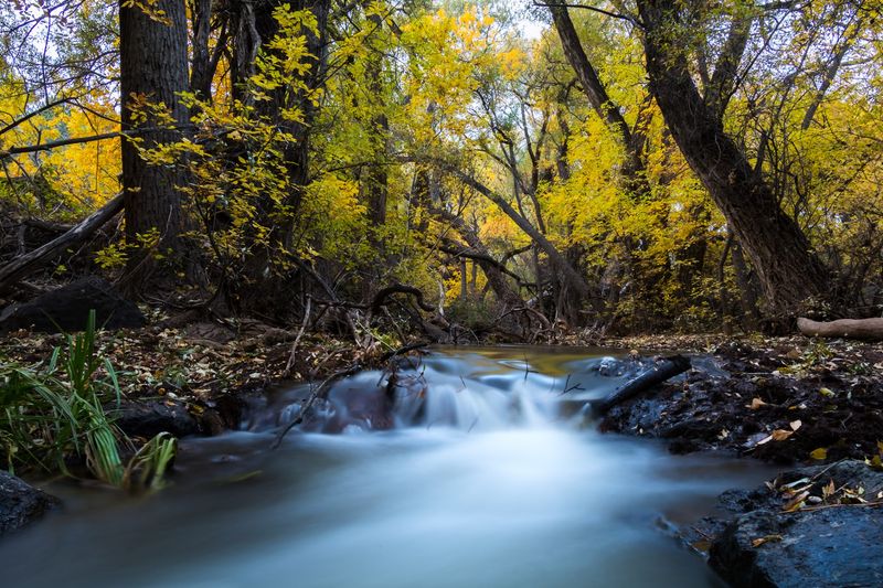 Baker Dam Campground