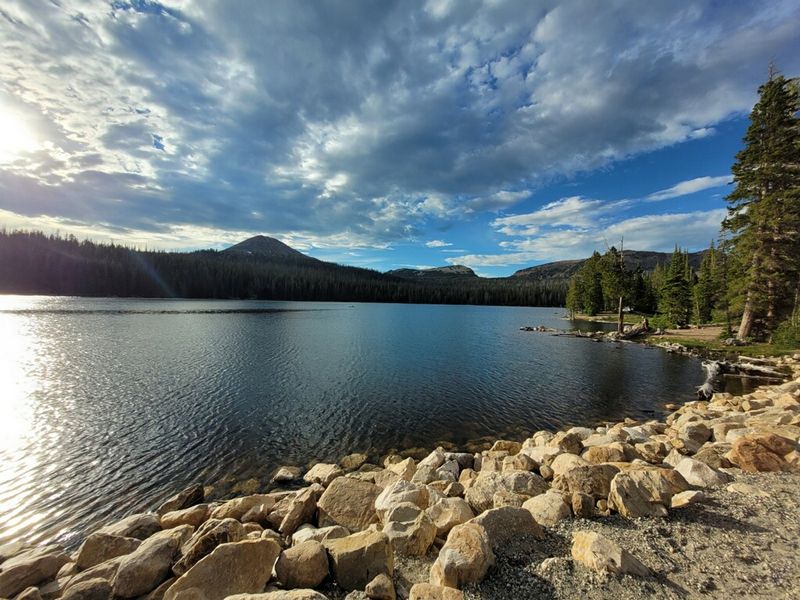 Trial Lake and Its Network of Neighbors