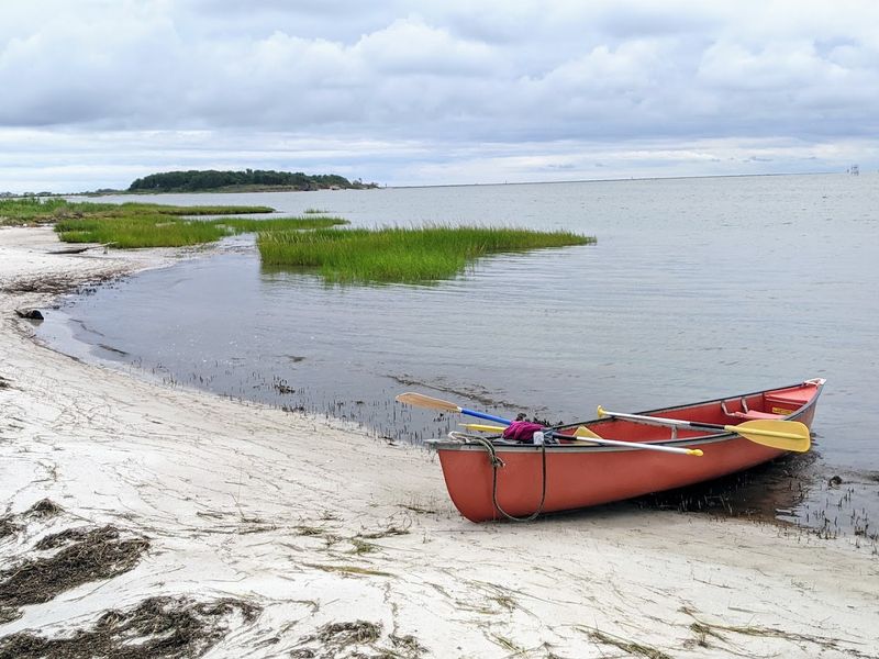 Kayaks Open The Marsh Beyond The Road
