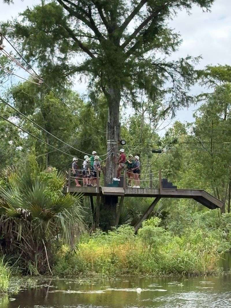 The Swamp Starts One Mile Past Old Highway 51