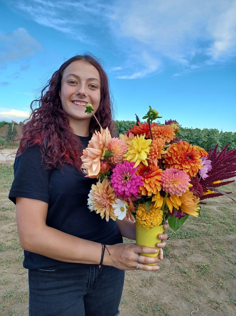 Dahlia Days And What Comes Next On The Farm