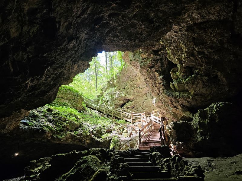 Why It’s Worth The Trip