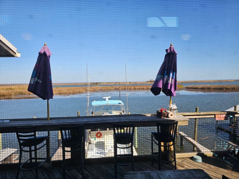 A Front-Row Seat Over the Marsh