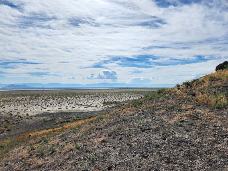 Halfway There: Packing Smart for a High Desert Collecting Day