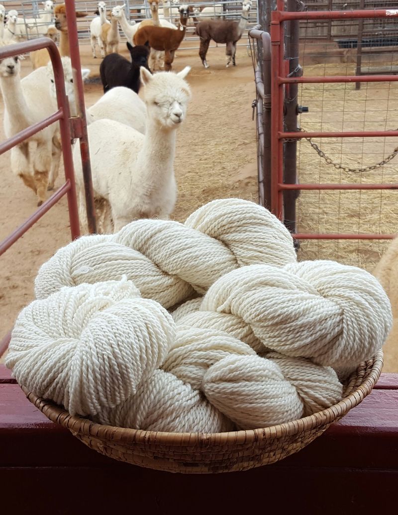 Soft Fiber Becomes Something Beautiful
