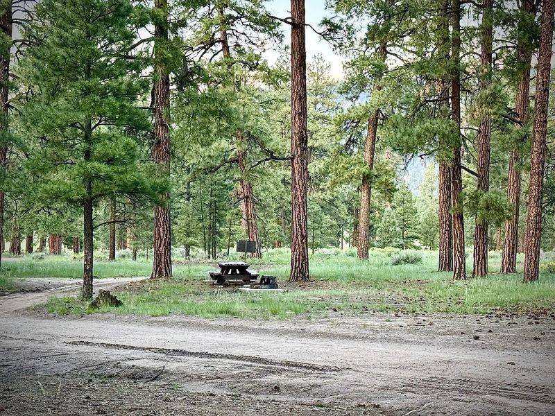 Armijo Springs Campground, Quemado
