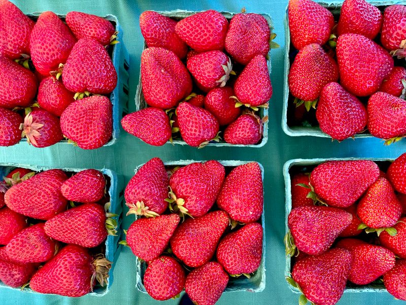 Skagit Valley Strawberries