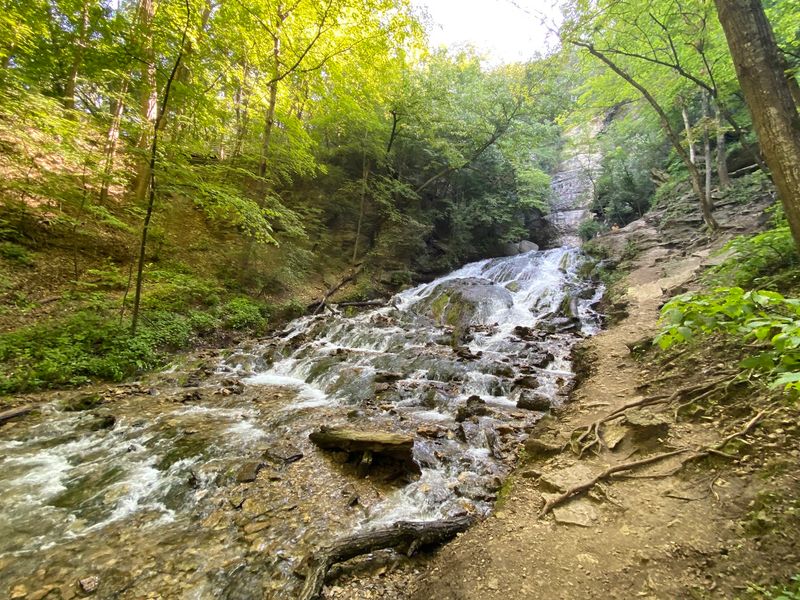 Dunning's Spring Park, Decorah