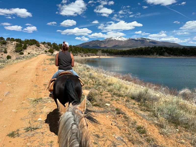 Elk Mountain Ranch Horseback Riding, La Sal