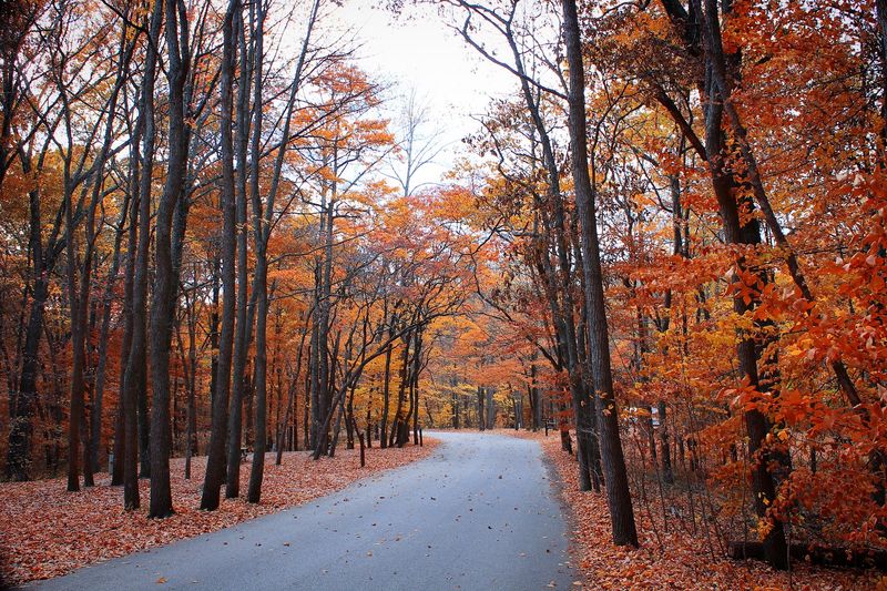 Brown County State Park