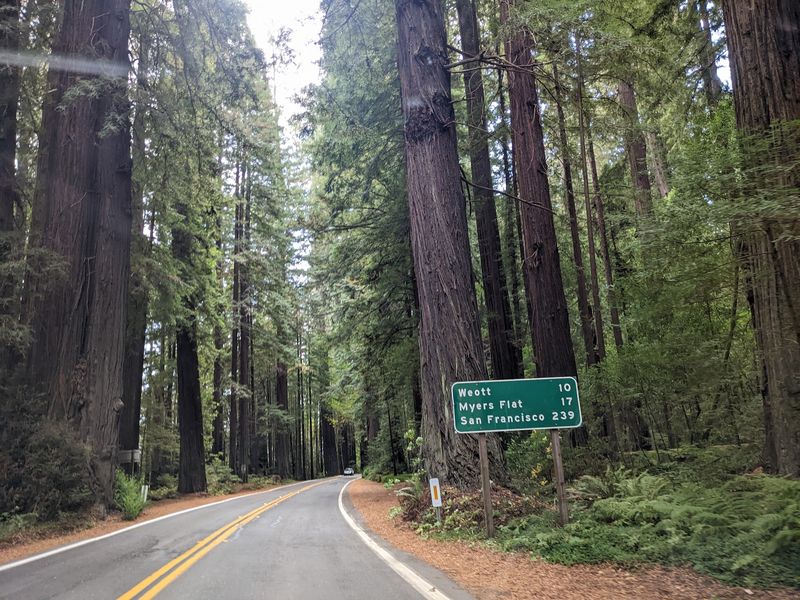 Humboldt Redwoods State Park