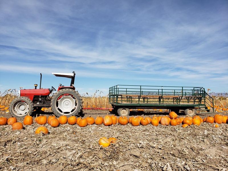 Black Island Farms, Syracuse, UT