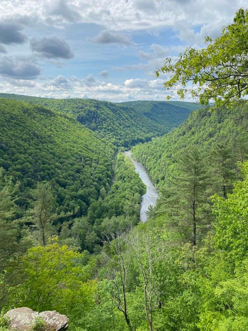 Pine Creek Gorge
