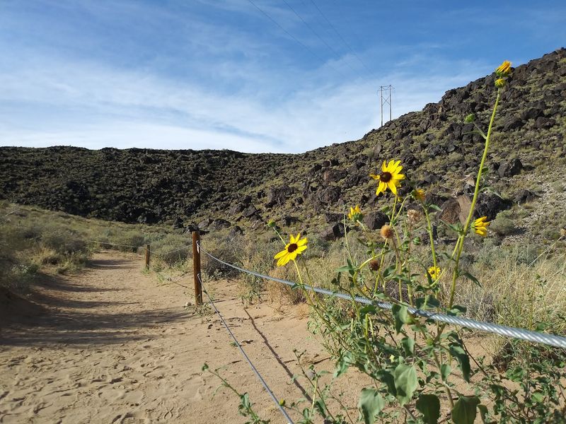 Rinconada Canyon Trail, Albuquerque