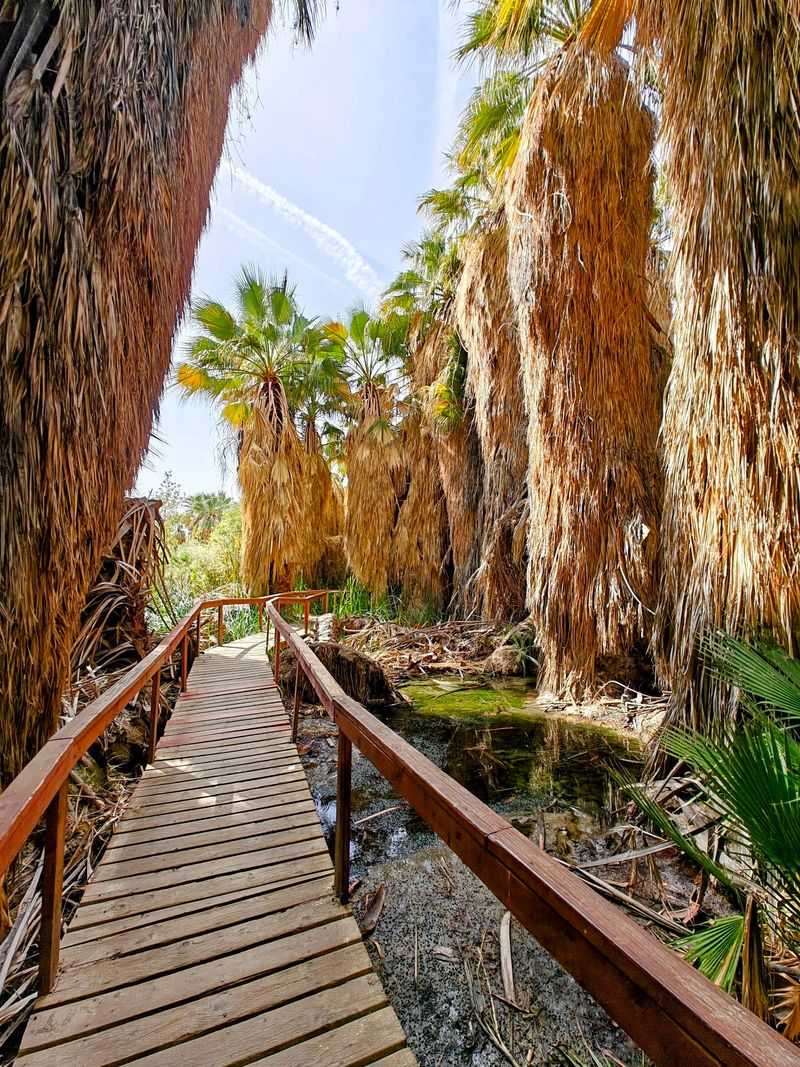Thousand Palms Oasis Preserve, Desert Hot Springs, CA
