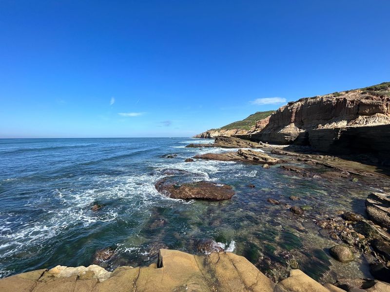 Point Loma Tide Pools, San Diego, CA