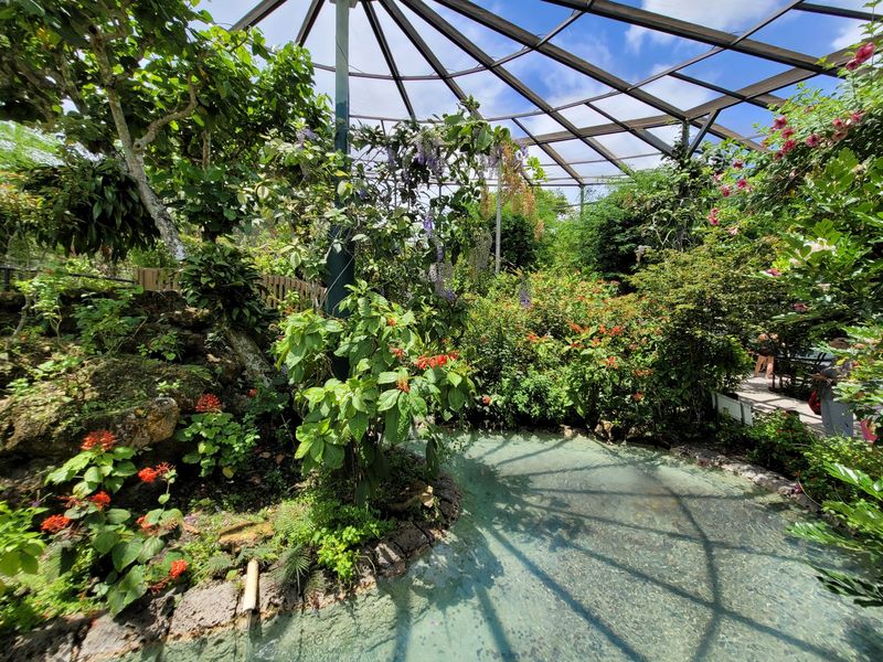 Butterfly World, Coconut Creek