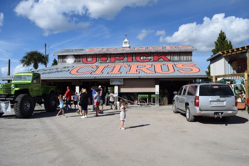 Showcase of Citrus, Clermont, FL