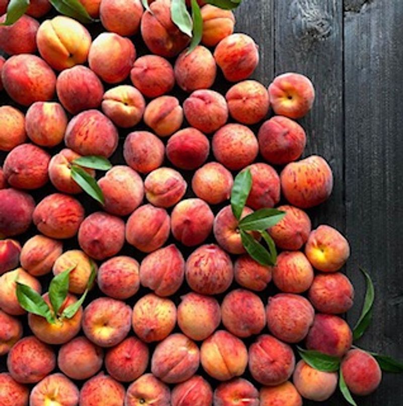 Branstool Orchards