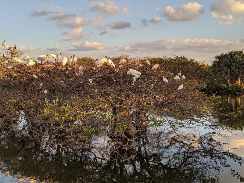 Wakodahatchee Wetlands