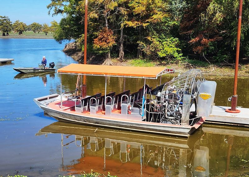 Atchafalaya Basin Landing Airboat Swamp Tours, Henderson, LA