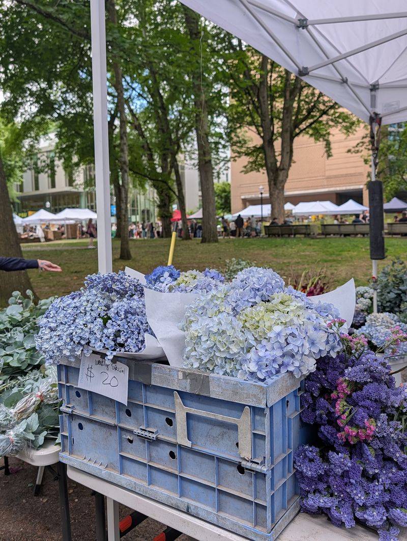 Portland State University Farmers Market