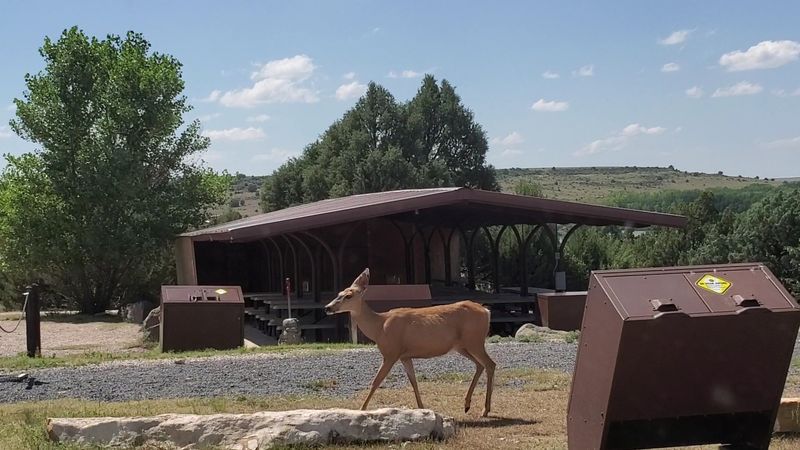 Wildlife, Trails, and Wide-Open Prairie