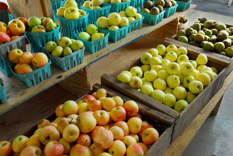Peaches Lead The Story But Apples Get Their Turn