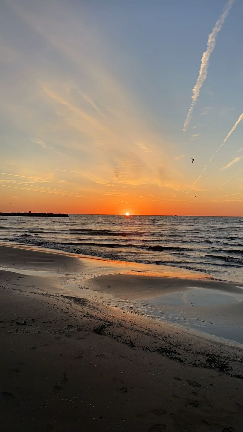 The Monarch Migration That Passes Through Each Fall