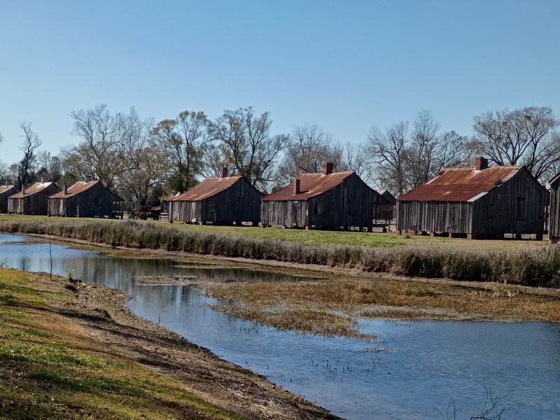 Cabins That Remember A Working Plantation