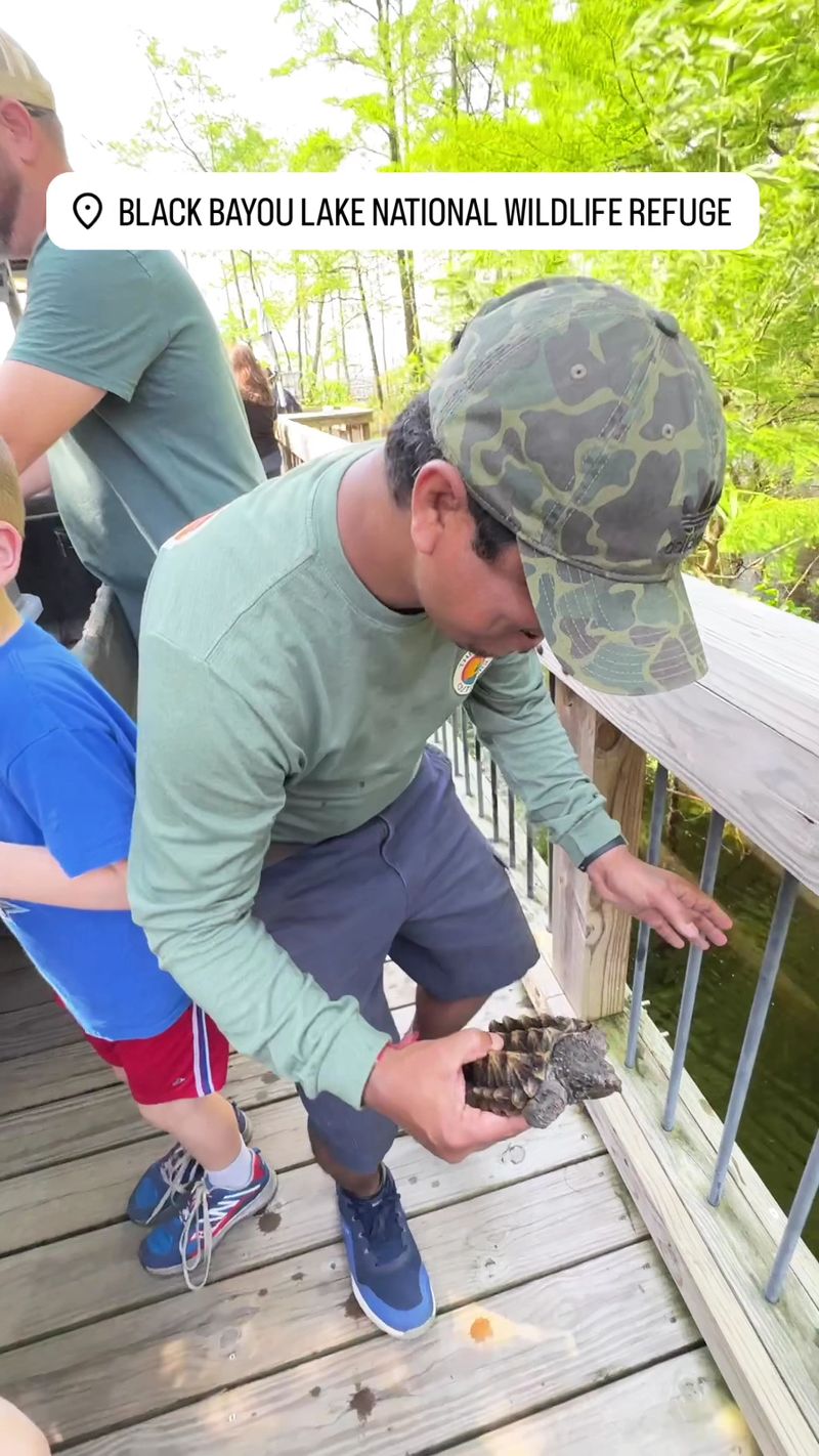 Live Animals And Hands-On Learning