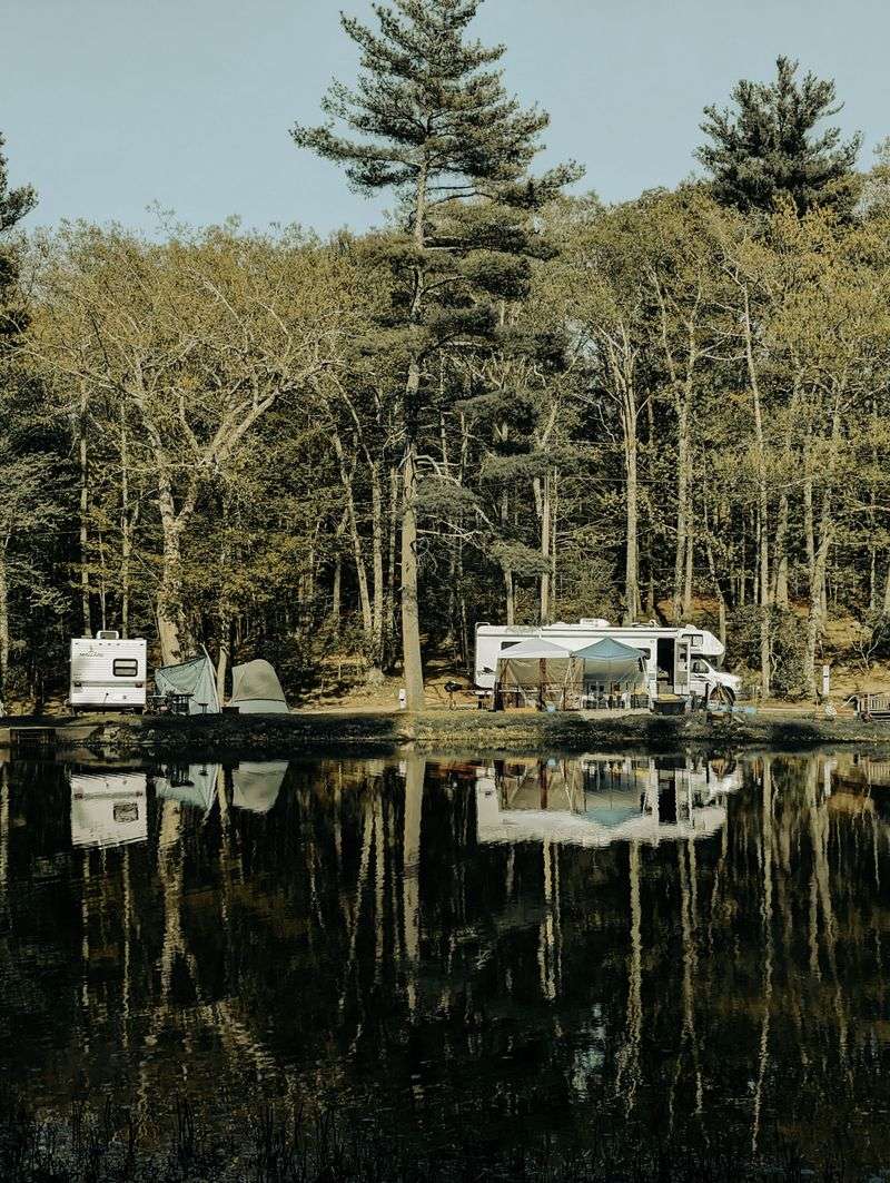 Camping Turns A Visit Into A Better Wildlife Bet
