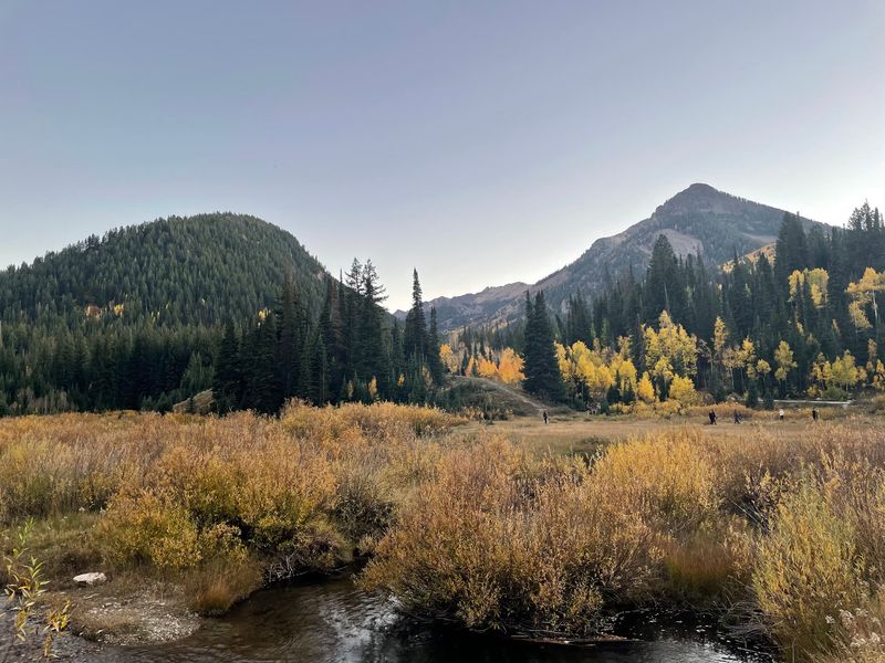 The Real Setting Is Big Cottonwood Canyon