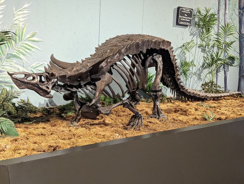 The Fossil Pit Where Kids Become Diggers