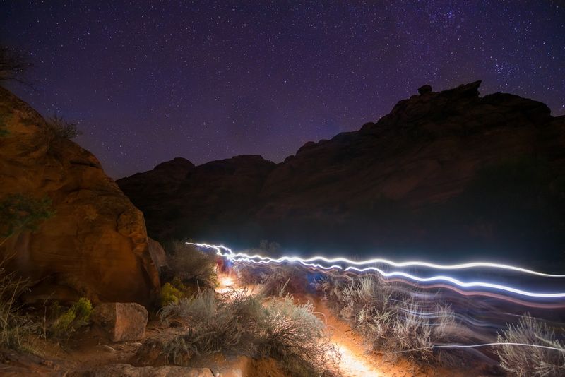 Dinosaur Tracks Add A Different Kind Of View