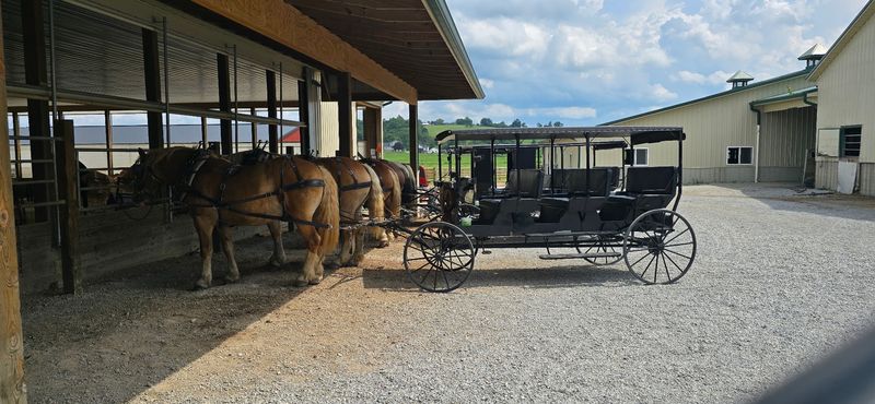 Third-Generation Recipes on a Working Amish Farm