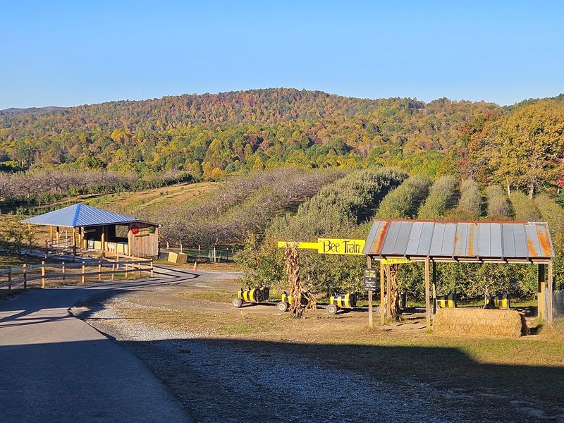 Rolling Hills and Big Mountain Views
