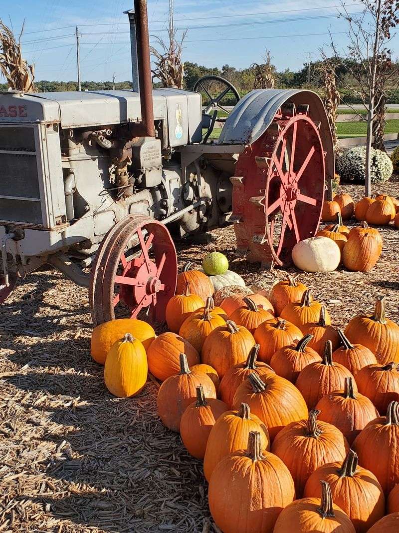 Why September Hits The Sweet Spot