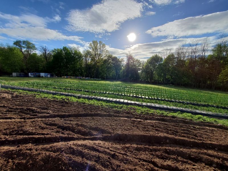 Plan Carefully For WE Farm