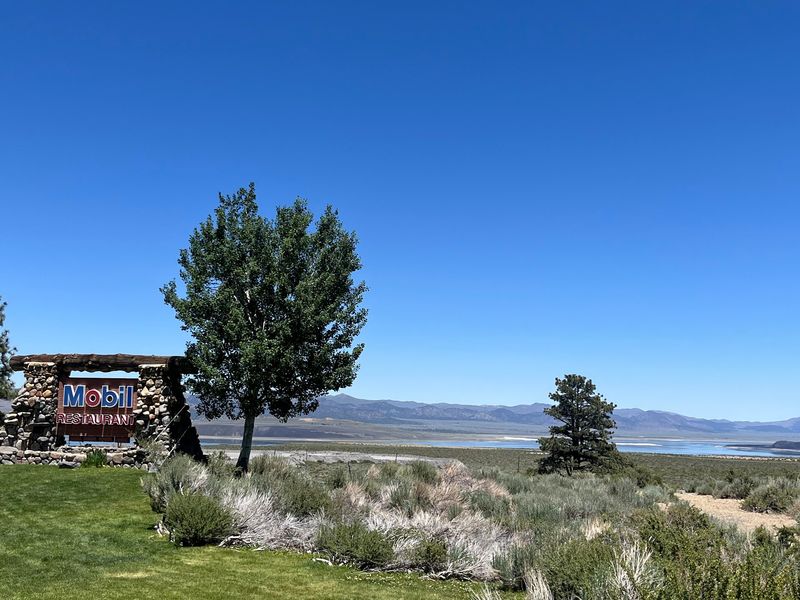 Perched Above Mono Lake and the Sierra