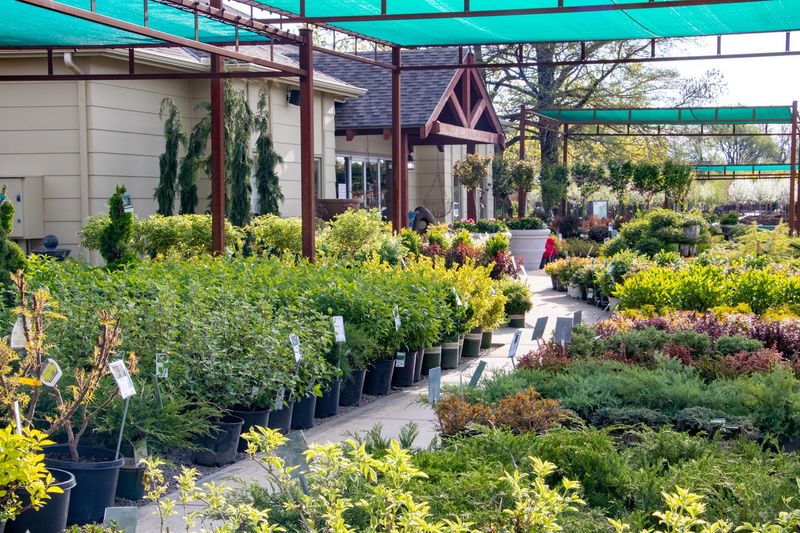 Staff Who Actually Know The Plants